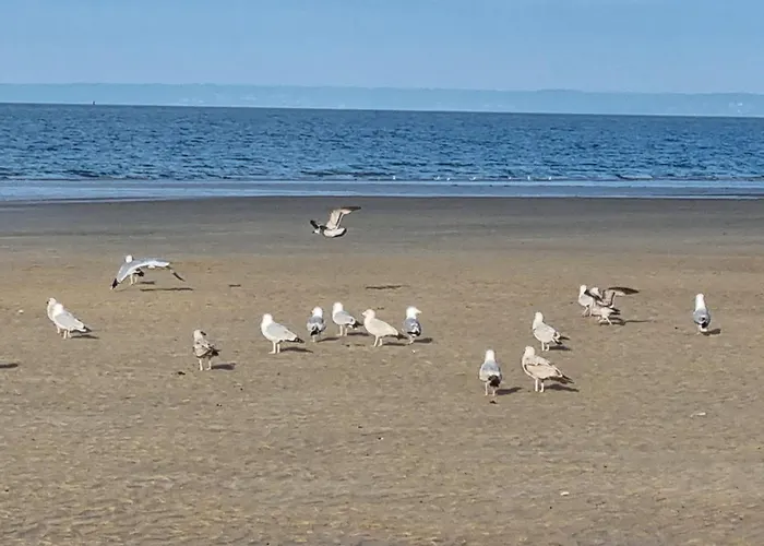 Front De * Ouistreham